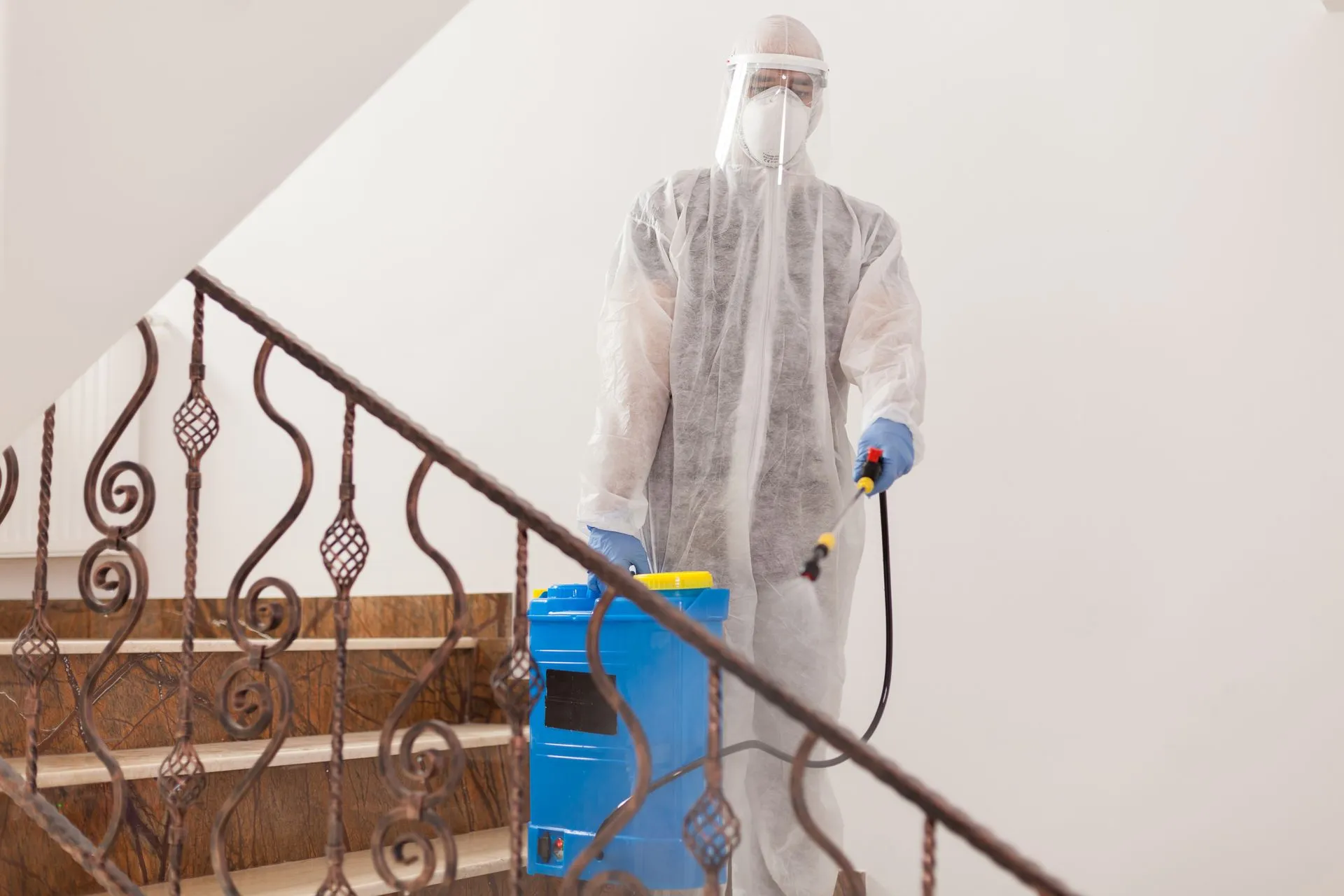 pest control services in Valley Farms, AZ